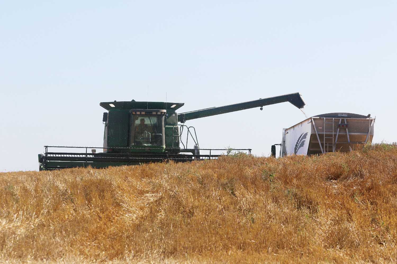 The 2025 Harvest of Hope crop being taken off north of Moosomin in October.